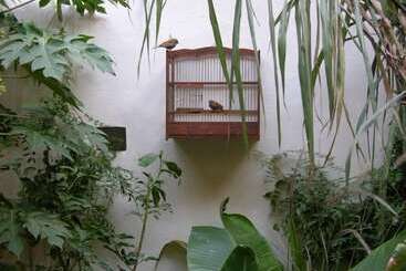 Bed and Breakfast Dar Zahia
