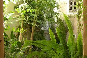 Bed and Breakfast Dar Zahia