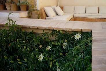 Bed and Breakfast Dar Zahia