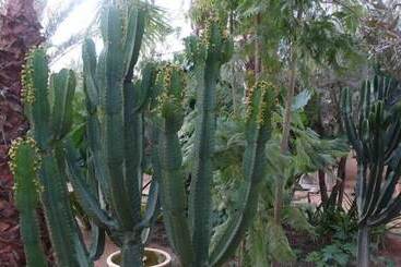 Bed and Breakfast Dar Zahia