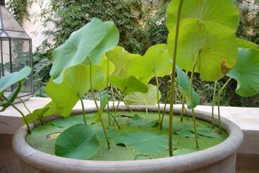 Bed and Breakfast Dar Zahia