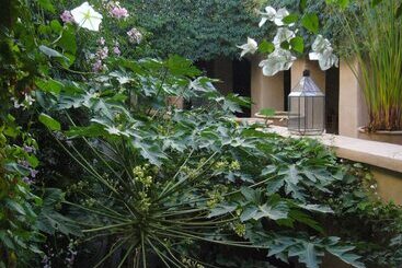 Bed and Breakfast Dar Zahia