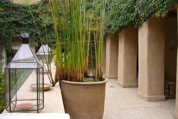 Bed and Breakfast Dar Zahia
