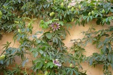 Bed and Breakfast Dar Zahia