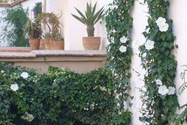 Bed and Breakfast Dar Zahia