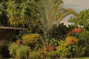 هتل Savaii Lagoon Resort
