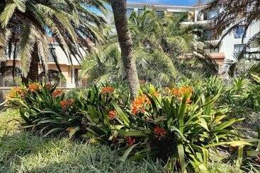 Majorca Apartments By Bon Hotels