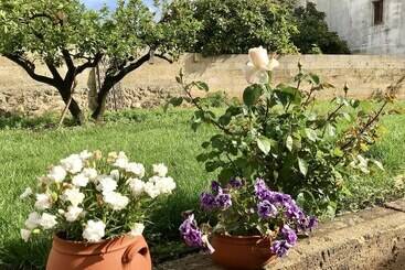 Corte Mercurio B&b