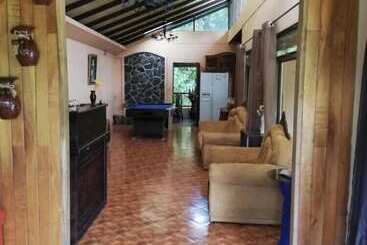 Blue Morpho   Hostel
