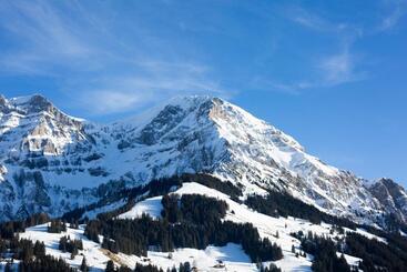 Chalet Hotel Beau Site