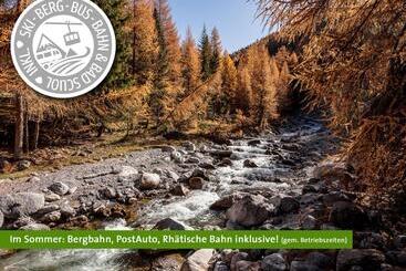 هتل Belvedere Scuol