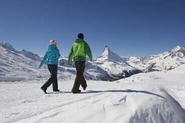 Swiss Alpine Hotel Allalin