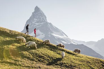 Swiss Alpine Hotel Allalin