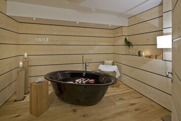 Swiss Alpine Hotel Allalin
