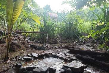 تختخواب و صبحانه Sten Lodge Eco Homestay
