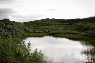 پانسیون Guesthouse Svartiskógur Egilsstaðir