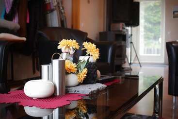 پانسیون Guesthouse Svartiskógur Egilsstaðir