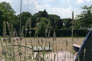 B&b Eikenlaan 12