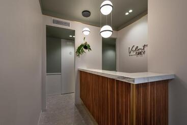 مسافرخانه Velvet Grey Boutique
