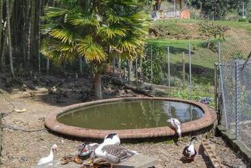هتل Finca Turística Los Rosales