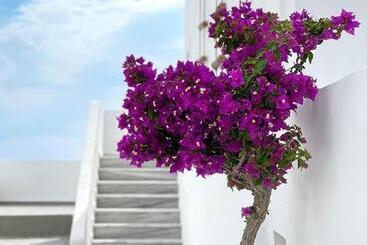 هتل Hermoso Luxury Suites