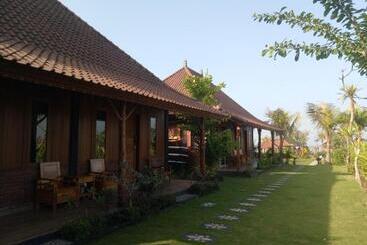 تختخواب و صبحانه Emir Surfcamp