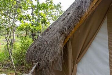 هتل Nativo Glamping