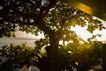 هتل Ocean S Edge Lodge Restaurant & Bar