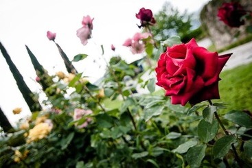 هتل روستایی Bio Agriturismo Il Torrione