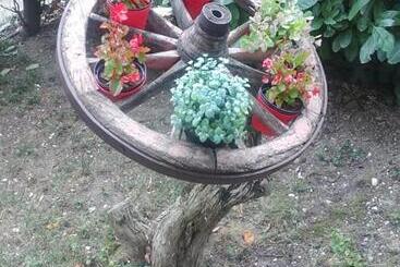 B&b Il Cedro