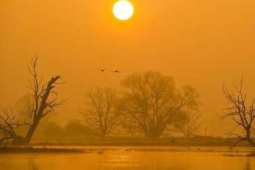 Пансион Gasthaus Wagner