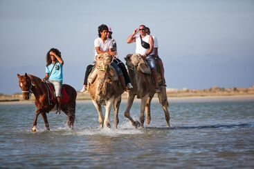 هتل El Mouradi Djerba Menzel
