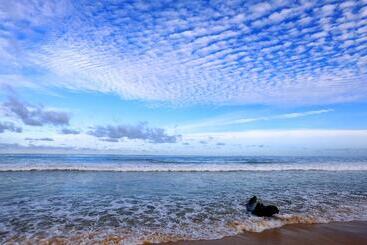 هتل Phuket Island View Resort   Sha Extra Plus