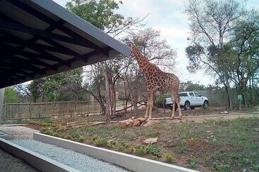 ホテル Hazyview Buffalo Game Lodge