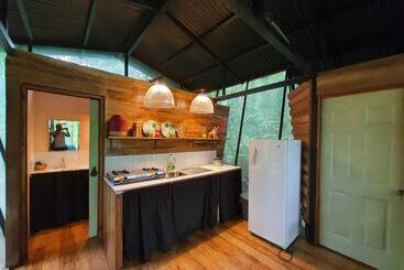 La Shamana Ecological, Concept In The Jungle