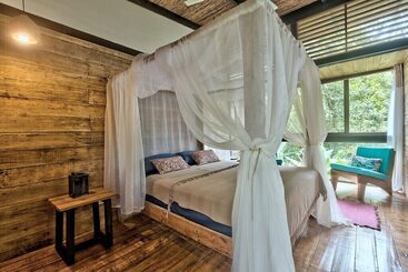 La Shamana Ecological, Concept In The Jungle