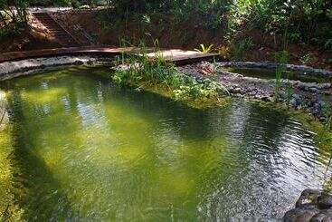 La Shamana Ecological, Concept In The Jungle