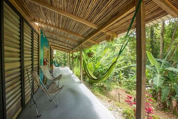 La Shamana Ecological, Concept In The Jungle