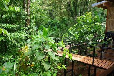 La Shamana Ecological, Concept In The Jungle