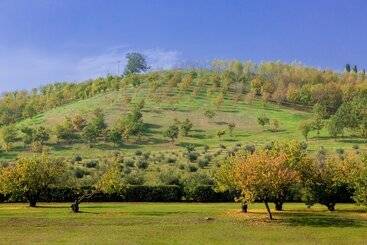 پانسیون Ca  Malvasia   Bolognarooms