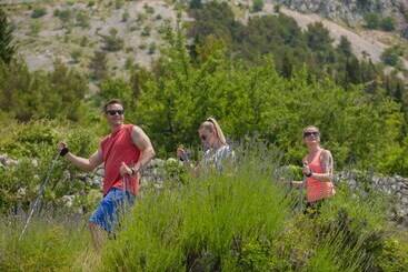 هتل Medora Orbis Mobile Homes & Glamping