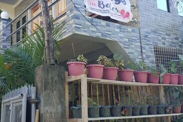 Mingle In Baler   Hostel