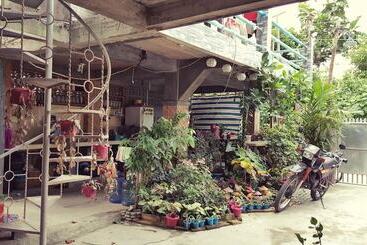 Mingle In Baler   Hostel