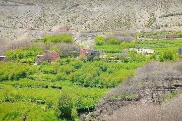 פנסיון Atlas Mazik Lodge Mountain Views
