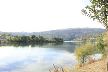 پانسیون Casa Do Salgueiral Douro