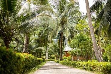 هتل Mafiya Resort