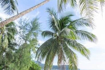 هتل Mafiya Resort
