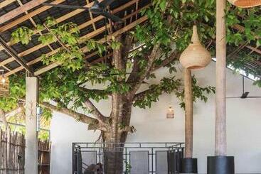 The Nuga House