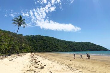 관광객 아파트 Villa Beach Palm Cove