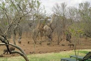 هتل Call Of The Wild Lodge